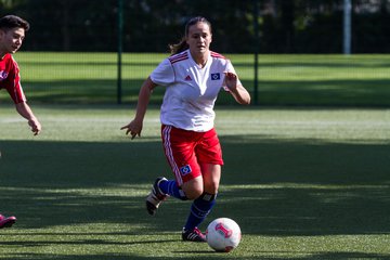 Bild 36 - Frauen HSV - cJun Eintracht Norderstedt : Ergebnis: 1:16